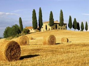 Guida Turistica Toscana