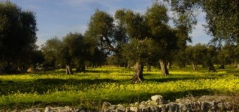 Salento, non solo d’estate